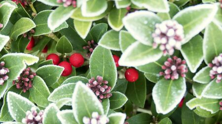 Green Fingers: Enjoy the moment
