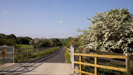 Much anticipated next section of South East Greenway to open this spring