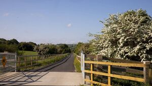 Much anticipated next section of South East Greenway to open this spring