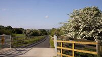Much anticipated next section of South East Greenway to open this spring