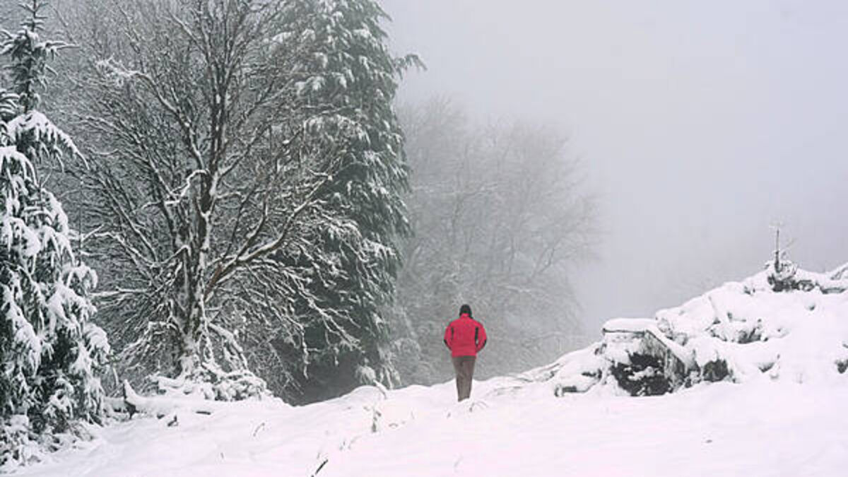Temperatures reach close to -7 degrees overnight with yellow warning still in place