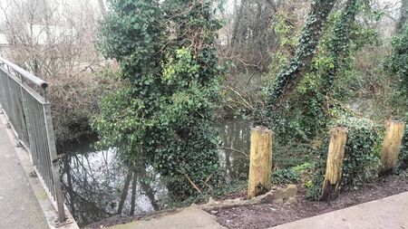 St John's River Walk trail suffers 'senseless act of vandalism'