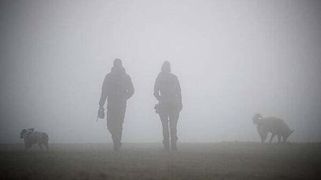 Status yellow fog warning issued for entire country