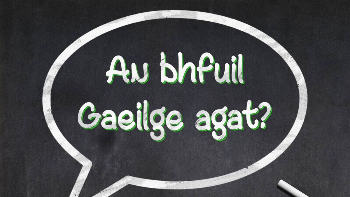 Local Notes: Bereavements, bridge lessons, climate action workshop and Irish language meet-ups