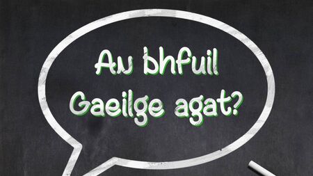 Local Notes: Bereavements, bridge lessons, climate action workshop and Irish language meet-ups