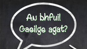 Local Notes: Bereavements, bridge lessons, climate action workshop and Irish language meet-ups