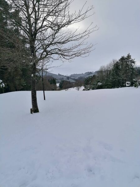 A view of Mountain Road. Pic: Maeve Redmond A view of Mountain Road. Pic: Maeve Redmond