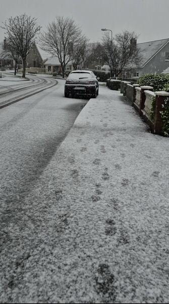 A lovely Waterford snow scene. Pic: Malena Fitzgerald A lovely Waterford snow scene. Pic: Malena Fitzgerald