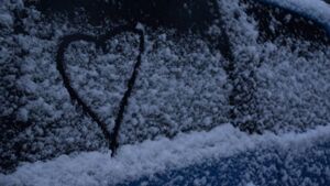 In Pics: Snow joke but winter weather created magical Waterford images In Pics: Snow joke but winter weather created magical Waterford images