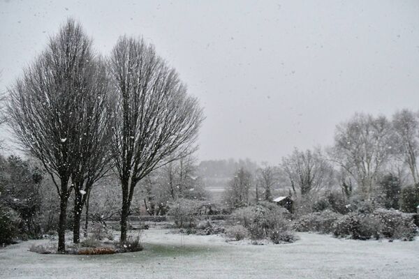 A garden view in the snow. Pic: Paddy Tobin A garden view in the snow. Pic: Paddy Tobin