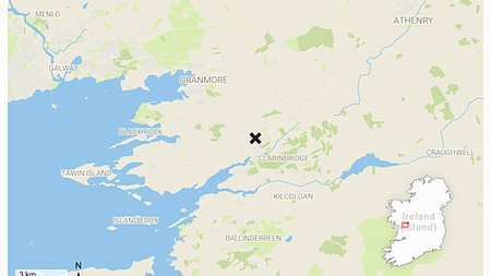 Appeal for witnesses after man (30s) dies the day after unreported collision in Galway