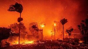 Small number of Irish citizens affected by LA wildfires, Tánaiste says Small number of Irish citizens affected by LA wildfires, Tánaiste says