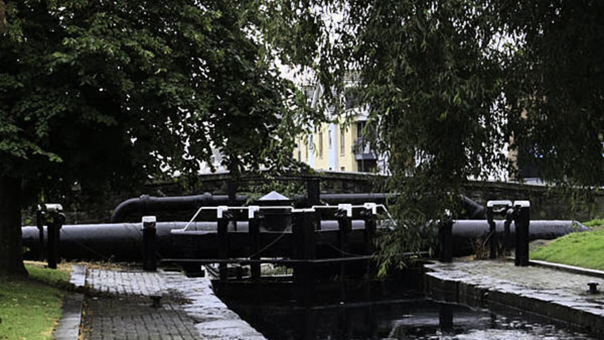 Council to clean Dublin 'cherry tomato bridge' as landmark goes viral