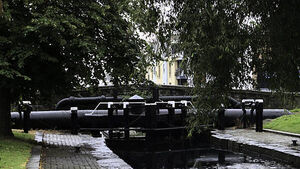 Council to clean Dublin 'cherry tomato bridge' as landmark goes viral Council to clean Dublin 'cherry tomato bridge' as landmark goes viral