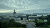 Government must deliver for Port of Waterford says MEP