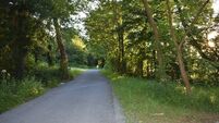 Local Notes: Greenway news, community music club, active retirement news and more