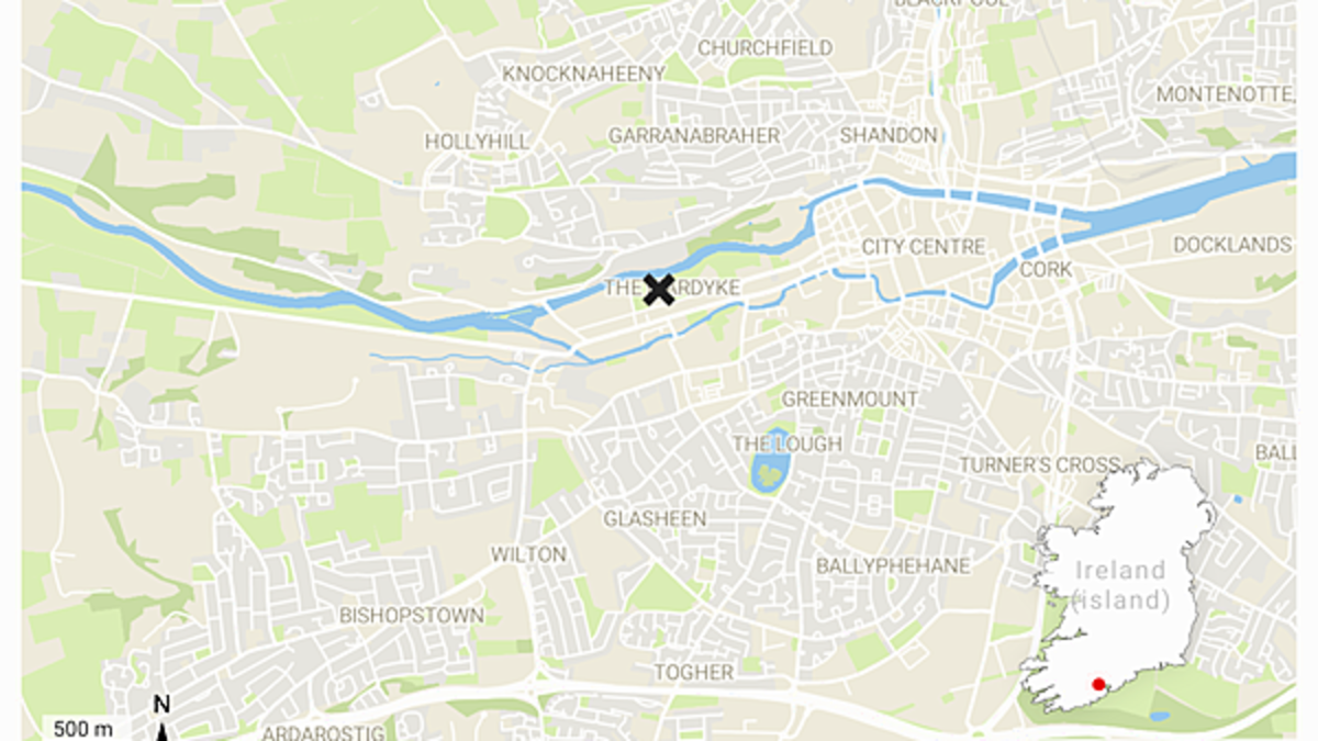 Body of man (20s) found in public toilet at Fitzgerald's Park in Cork