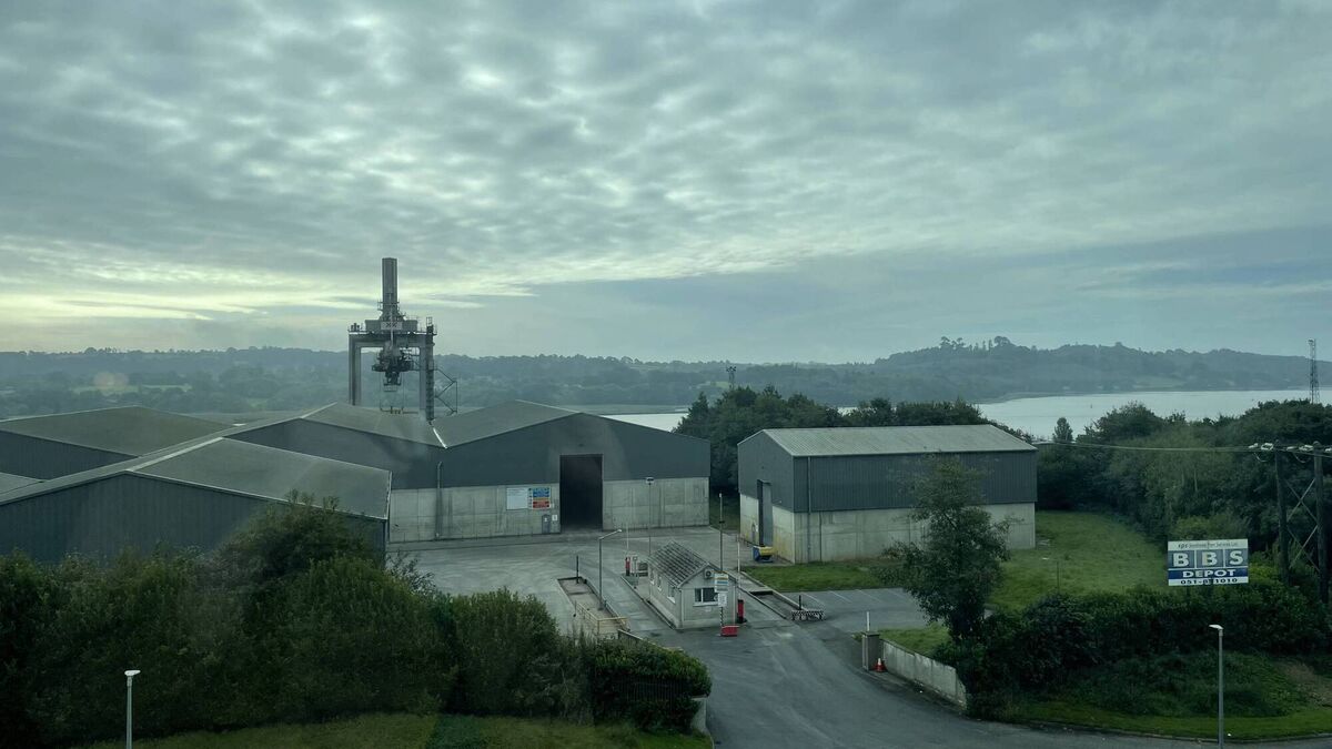 Government must deliver for Port of Waterford says MEP