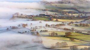Status yellow fog warning issued for Tuesday night