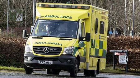 Van driver dies month after collision