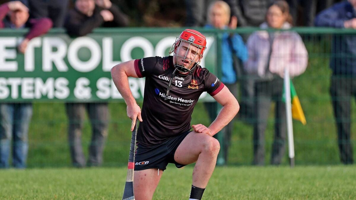 De La Salle exit Harty Cup at semi-final stage