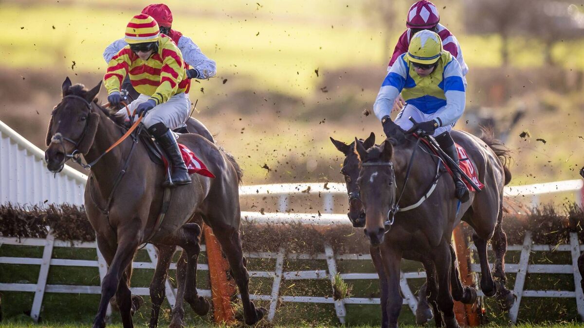 Rocky's Diamond lands impressive win for Queally