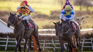 Rocky's Diamond lands impressive win for Queally