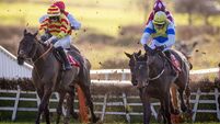 Rocky's Diamond lands impressive win for Queally