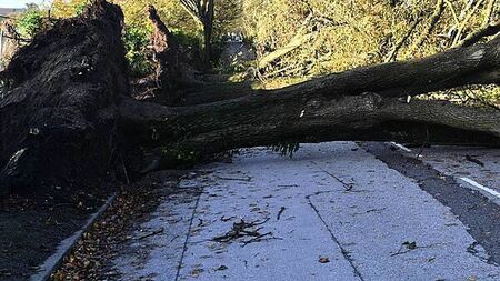 Storm Éowyn: Maximum gusts of 130km/h recorded in Co Cork overnight
