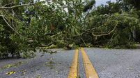 Reports of fallen trees and power lines down as Storm Éowyn wreaks havoc across Waterford