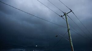 Around 3000 homes without power in Waterford after Storm Éowyn Around 3000 homes without power in Waterford after Storm Éowyn