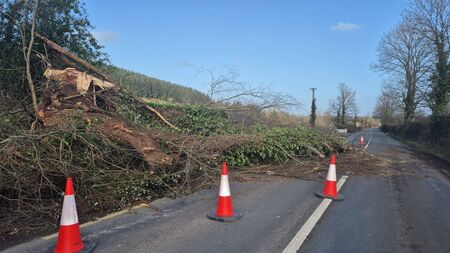 Crews on site as Storm Éowyn clean up begins across Waterford