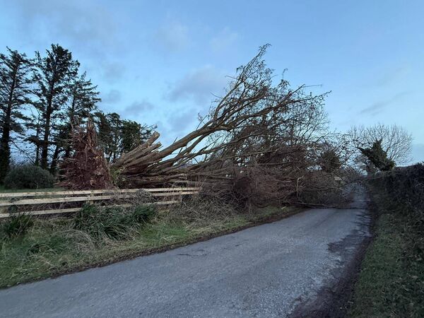 Photo: Waterford City &amp; County Council