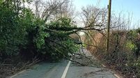 Here are the roads closed in Waterford as Storm Éowyn clean-up continues