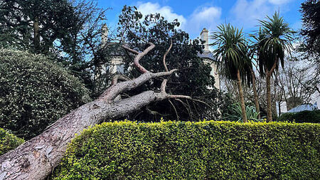 It will take days to assess all Storm Éowyn damage in Northern Ireland, say police