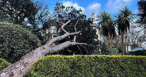 It will take days to assess all Storm Éowyn damage in Northern Ireland, say police
