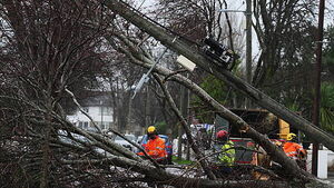 Storm Éowyn aftermath: 100,000 could be without power for another week Storm Éowyn aftermath: 100,000 could be without power for another week