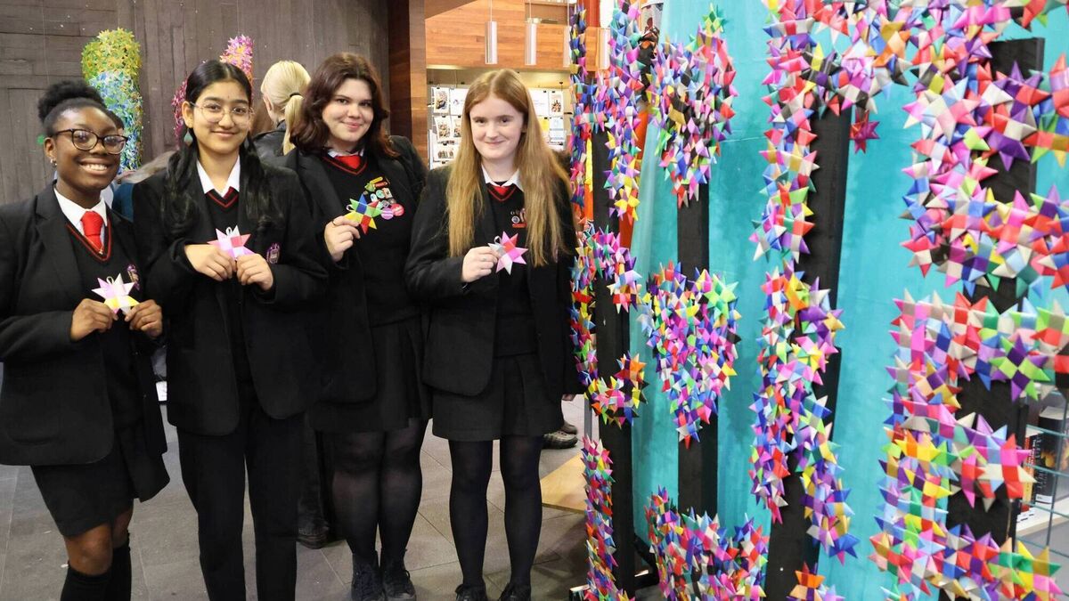 In Photos: 'One Million Stars' exhibition in Waterford focuses on domestic violence awareness
