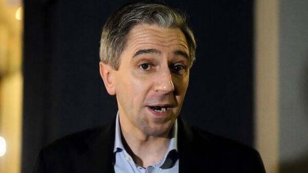 Government ‘will play full part’ in Omagh bomb inquiry, Tánaiste says