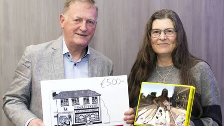 Waterford artist recognised at national awards