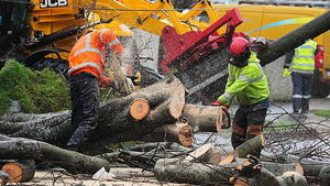 Storm Éowyn: Almost 3,000 people helping ESB to restore power amid anger over response Storm Éowyn: Almost 3,000 people helping ESB to restore power amid anger over response