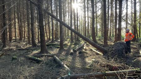 Managing forest damage: practical steps for farmers
