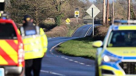 Two men (20s) killed and two people hospitalised in Carlow crash