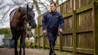 Preview of Dublin Racing Festival