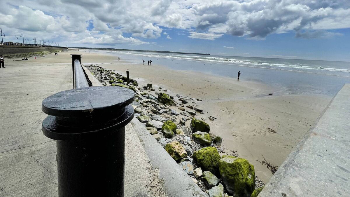 World Wetlands Day to be celebrated in Tramore with birdwatching event