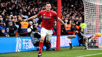 Seventh heaven for Nottingham Forest as Chris Wood helps hammer sorry Brighton