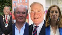 How did Waterford's Seanad candidates perform?