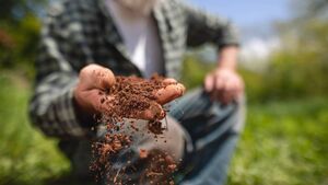 Green Fingers: Getting into gear for the Spring Green Fingers: Getting into gear for the Spring