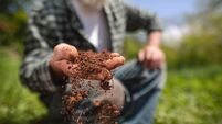 Green Fingers: Getting into gear for the Spring