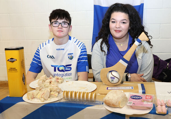  Nathan and Shanice at the Waterford stand at St Paul's Community College Culture Day.